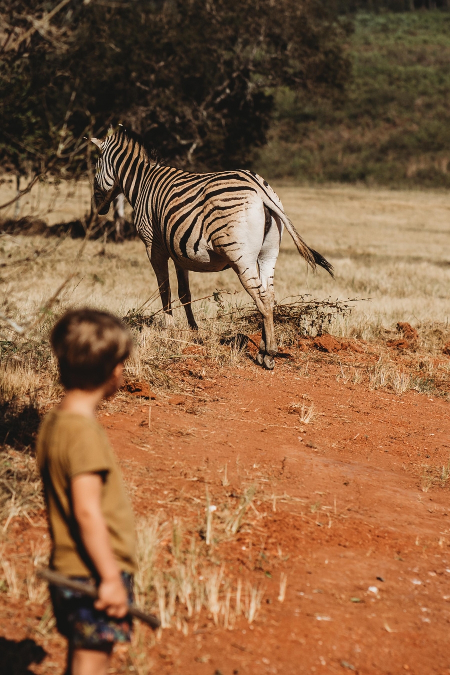 FIH Fotografie » Zuid Afrika